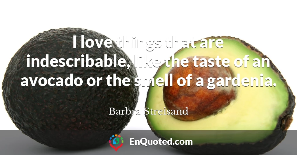 I love things that are indescribable, like the taste of an avocado or the smell of a gardenia.