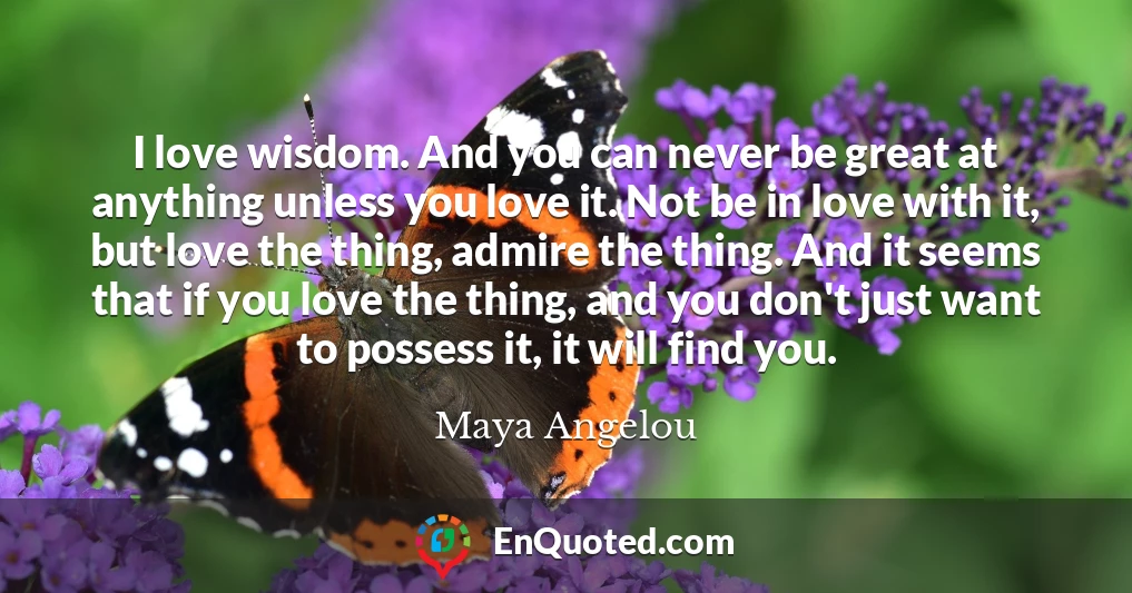 I love wisdom. And you can never be great at anything unless you love it. Not be in love with it, but love the thing, admire the thing. And it seems that if you love the thing, and you don't just want to possess it, it will find you.
