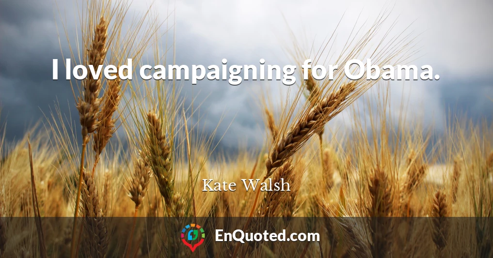 I loved campaigning for Obama.
