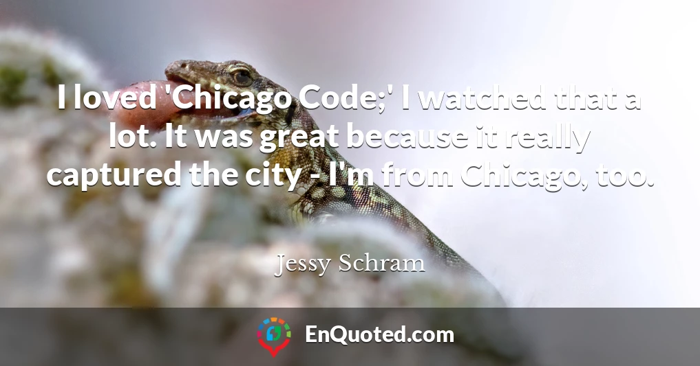 I loved 'Chicago Code;' I watched that a lot. It was great because it really captured the city - I'm from Chicago, too.