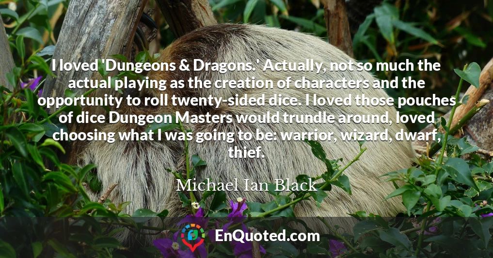 I loved 'Dungeons & Dragons.' Actually, not so much the actual playing as the creation of characters and the opportunity to roll twenty-sided dice. I loved those pouches of dice Dungeon Masters would trundle around, loved choosing what I was going to be: warrior, wizard, dwarf, thief.