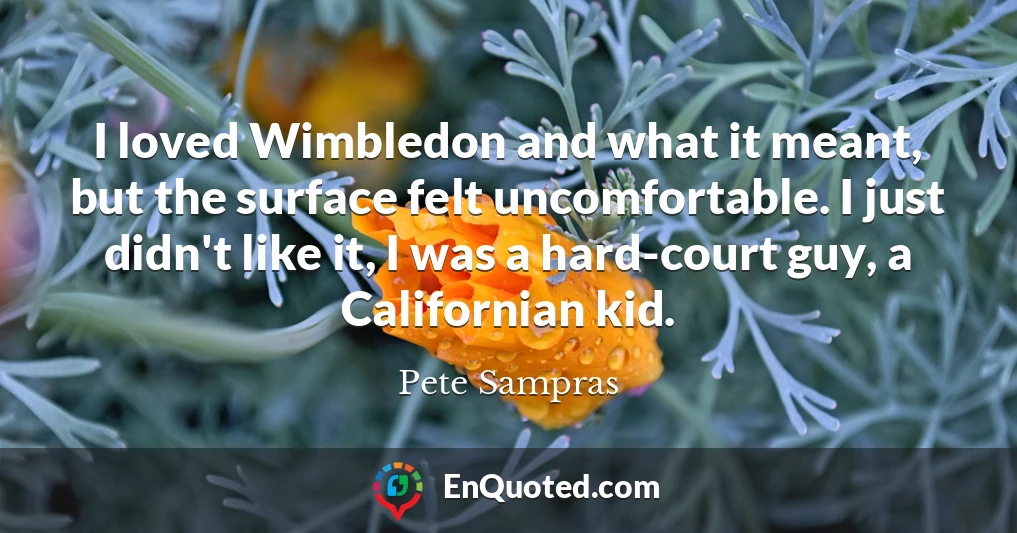 I loved Wimbledon and what it meant, but the surface felt uncomfortable. I just didn't like it, I was a hard-court guy, a Californian kid.