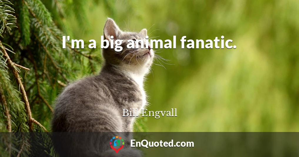 I'm a big animal fanatic.