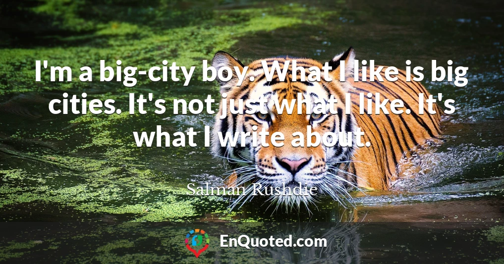 I'm a big-city boy. What I like is big cities. It's not just what I like. It's what I write about.