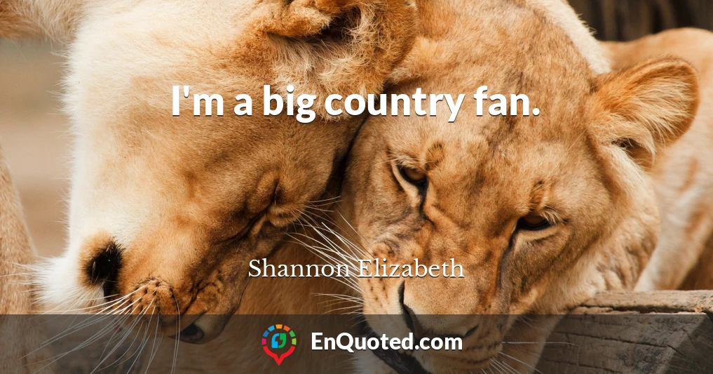 I'm a big country fan.