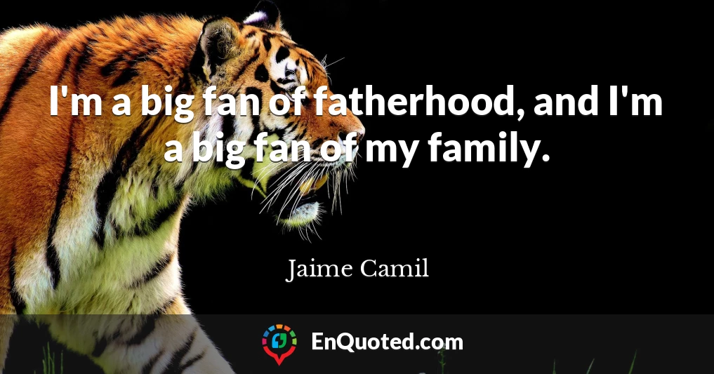 I'm a big fan of fatherhood, and I'm a big fan of my family.