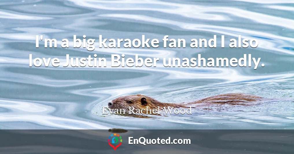 I'm a big karaoke fan and I also love Justin Bieber unashamedly.