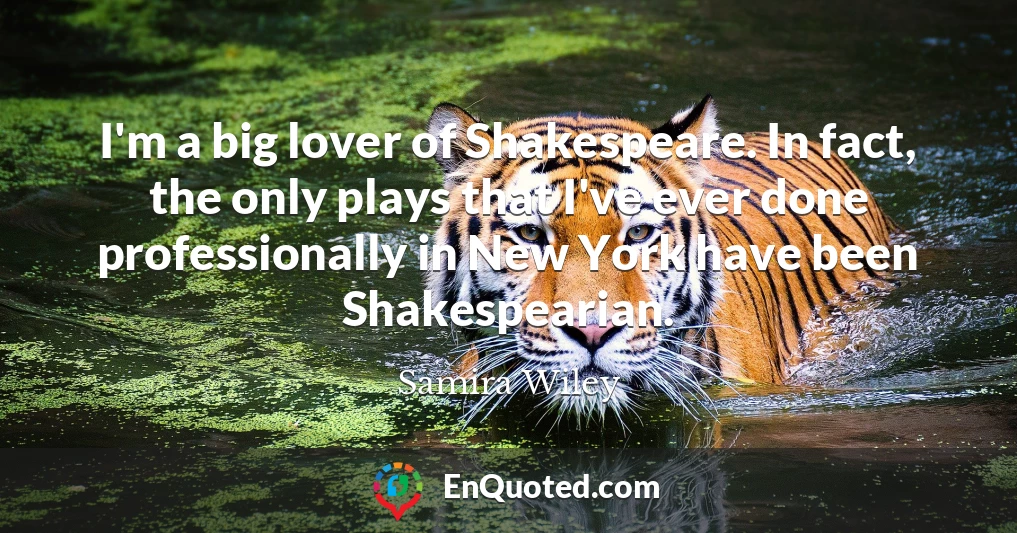 I'm a big lover of Shakespeare. In fact, the only plays that I've ever done professionally in New York have been Shakespearian.
