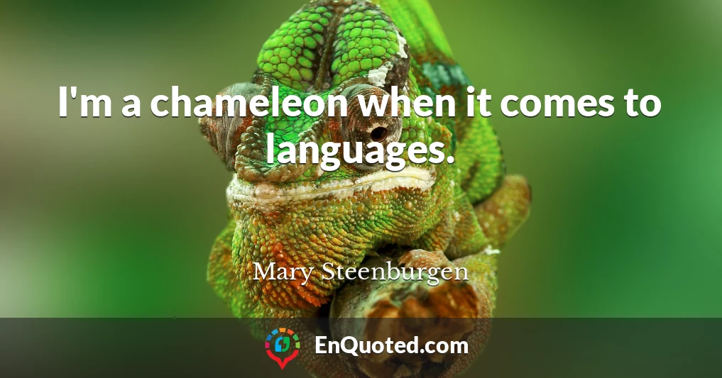 I'm a chameleon when it comes to languages.
