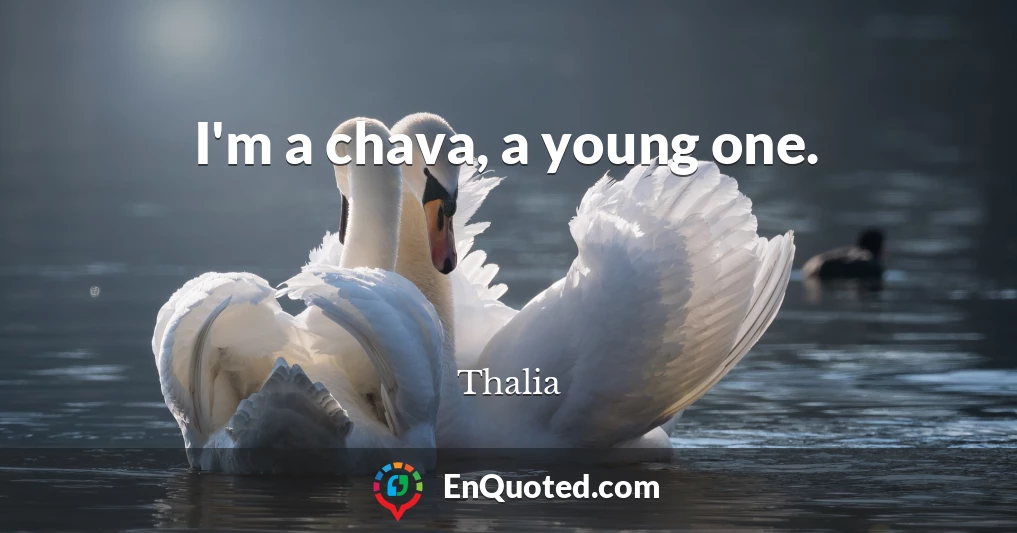 I'm a chava, a young one.