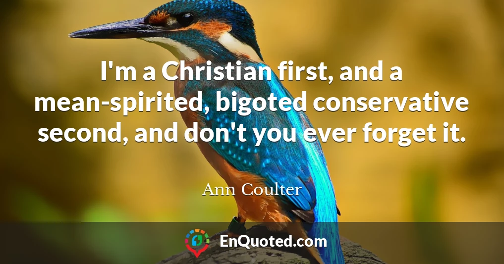I'm a Christian first, and a mean-spirited, bigoted conservative second, and don't you ever forget it.