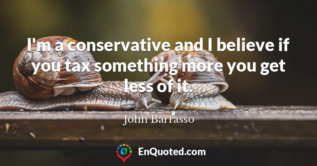 I'm a conservative and I believe if you tax something more you get less of it.