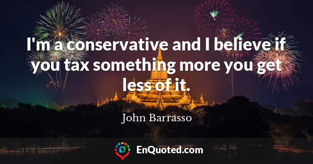 I'm a conservative and I believe if you tax something more you get less of it.