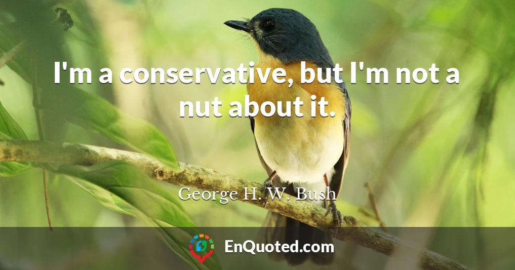I'm a conservative, but I'm not a nut about it.