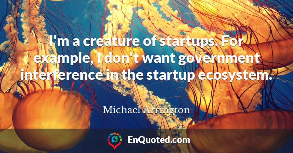 I'm a creature of startups. For example, I don't want government interference in the startup ecosystem.