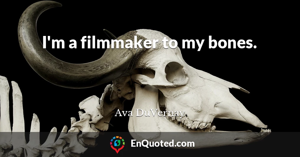 I'm a filmmaker to my bones.