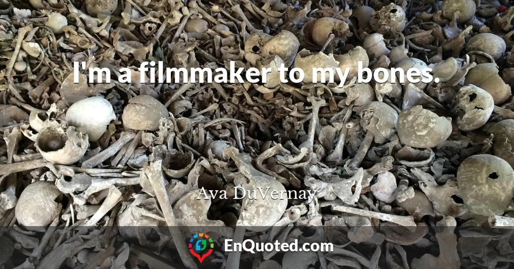 I'm a filmmaker to my bones.