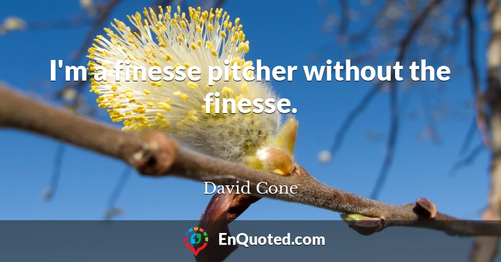 I'm a finesse pitcher without the finesse.