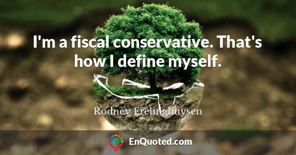 I'm a fiscal conservative. That's how I define myself.