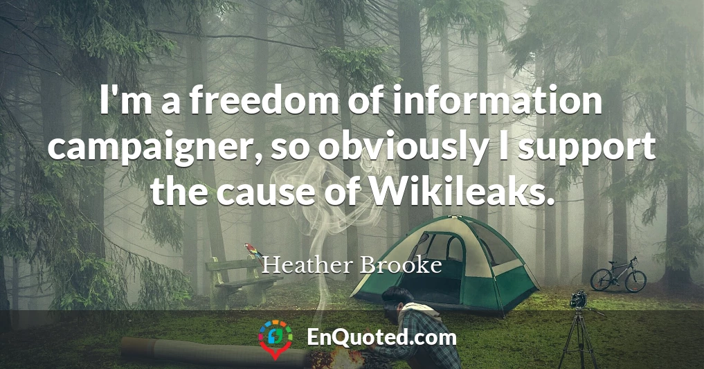 I'm a freedom of information campaigner, so obviously I support the cause of Wikileaks.