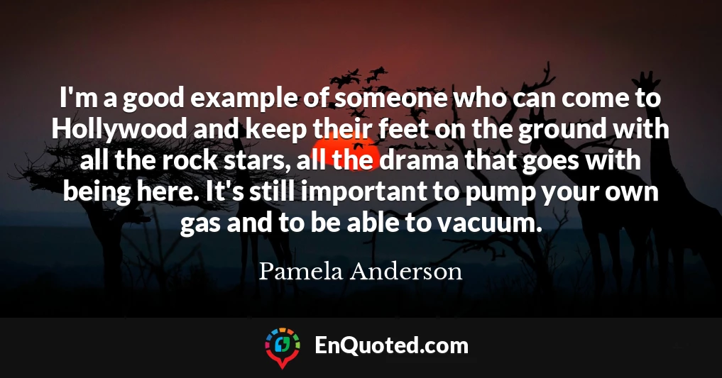 I'm a good example of someone who can come to Hollywood and keep their feet on the ground with all the rock stars, all the drama that goes with being here. It's still important to pump your own gas and to be able to vacuum.