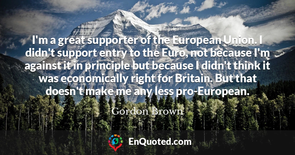 I'm a great supporter of the European Union. I didn't support entry to the Euro, not because I'm against it in principle but because I didn't think it was economically right for Britain. But that doesn't make me any less pro-European.