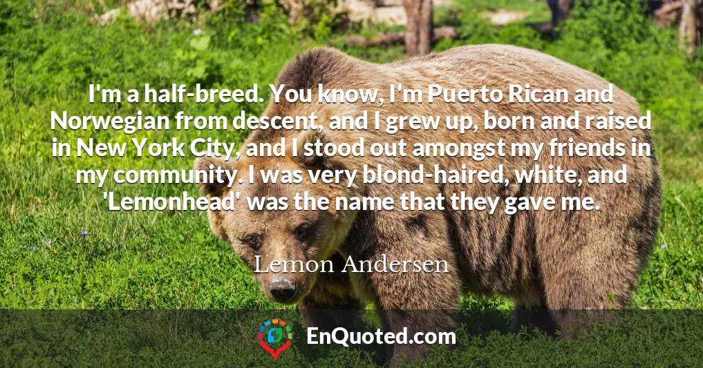 I'm a half-breed. You know, I'm Puerto Rican and Norwegian from descent, and I grew up, born and raised in New York City, and I stood out amongst my friends in my community. I was very blond-haired, white, and 'Lemonhead' was the name that they gave me.