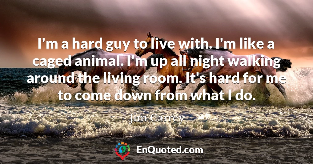 I'm a hard guy to live with. I'm like a caged animal. I'm up all night walking around the living room. It's hard for me to come down from what I do.
