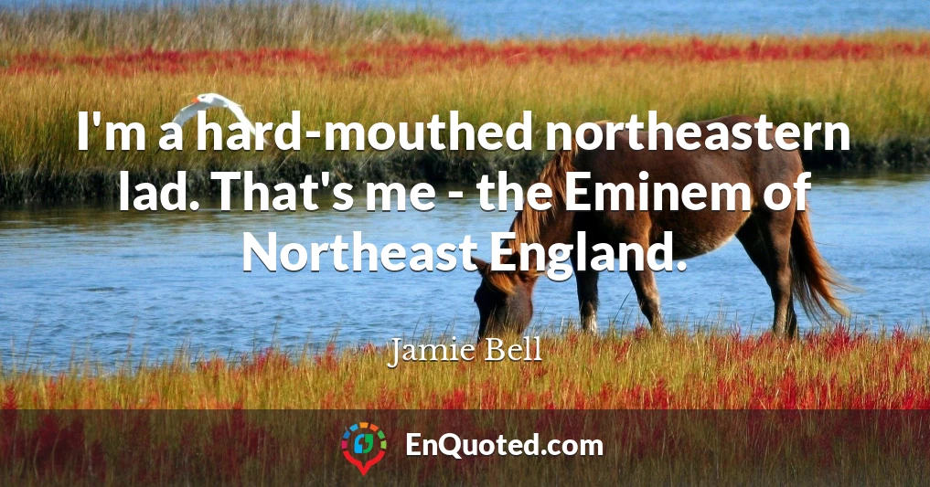I'm a hard-mouthed northeastern lad. That's me - the Eminem of Northeast England.