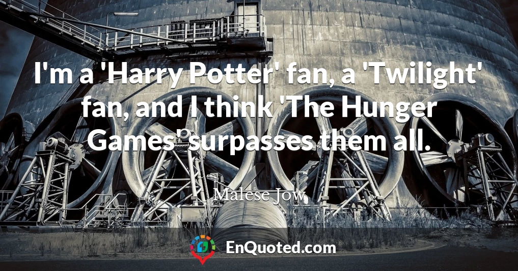 I'm a 'Harry Potter' fan, a 'Twilight' fan, and I think 'The Hunger Games' surpasses them all.