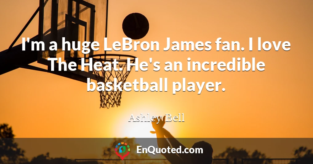 I'm a huge LeBron James fan. I love The Heat. He's an incredible basketball player.