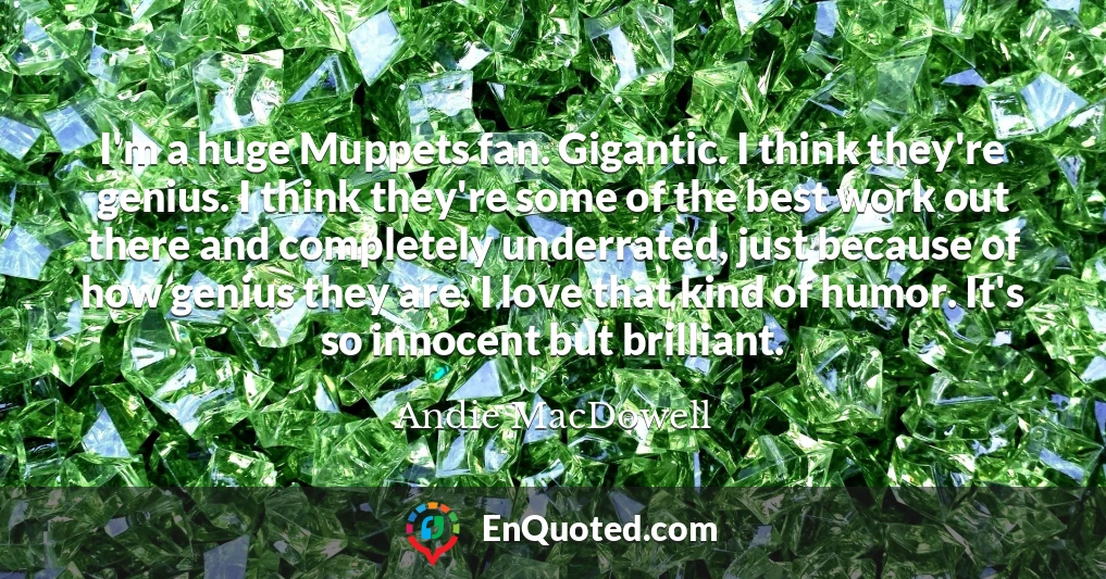 I'm a huge Muppets fan. Gigantic. I think they're genius. I think they're some of the best work out there and completely underrated, just because of how genius they are. I love that kind of humor. It's so innocent but brilliant.