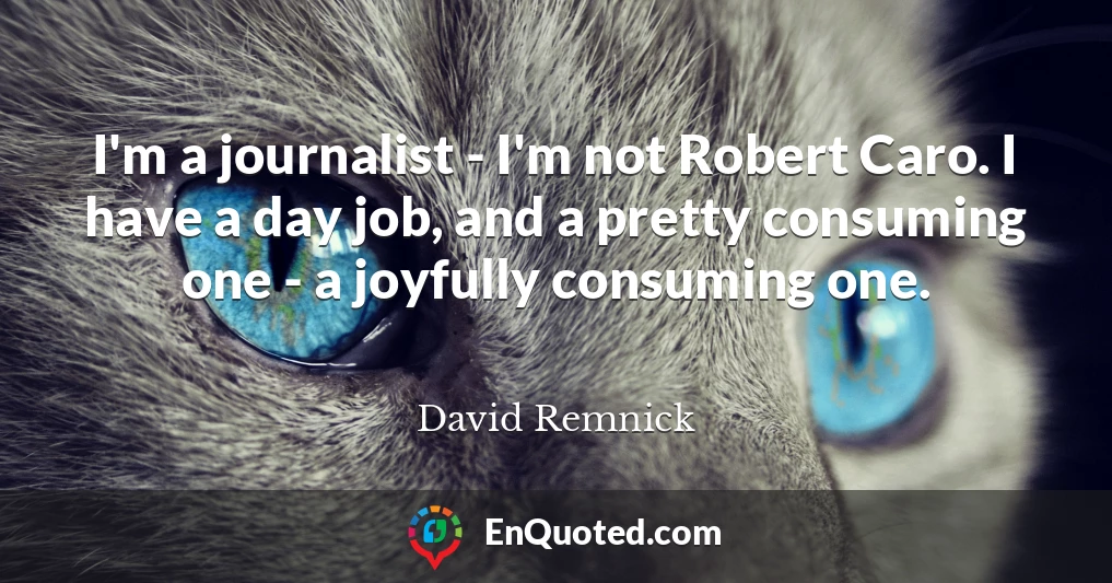 I'm a journalist - I'm not Robert Caro. I have a day job, and a pretty consuming one - a joyfully consuming one.