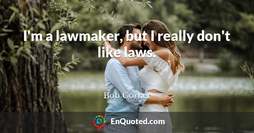 I'm a lawmaker, but I really don't like laws.