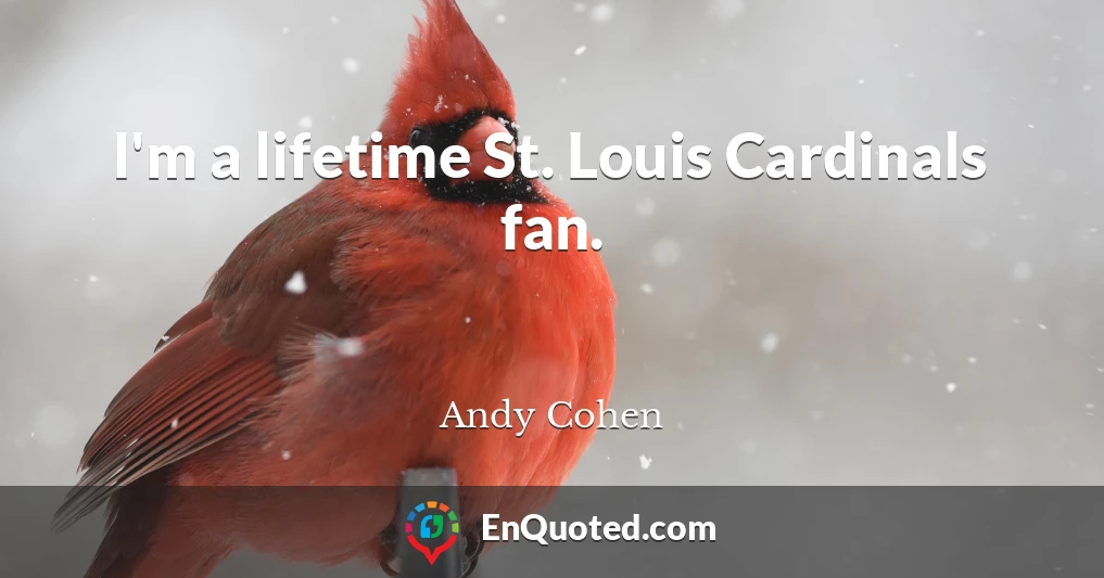 I'm a lifetime St. Louis Cardinals fan.