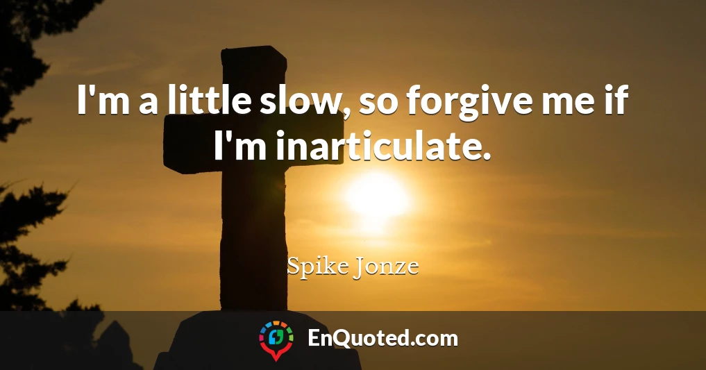 I'm a little slow, so forgive me if I'm inarticulate.