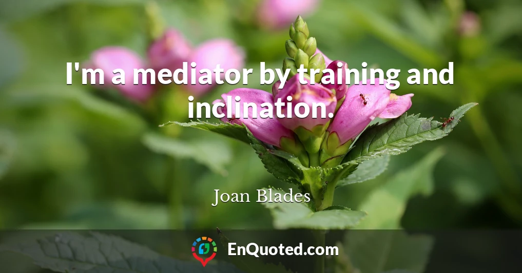 I'm a mediator by training and inclination.