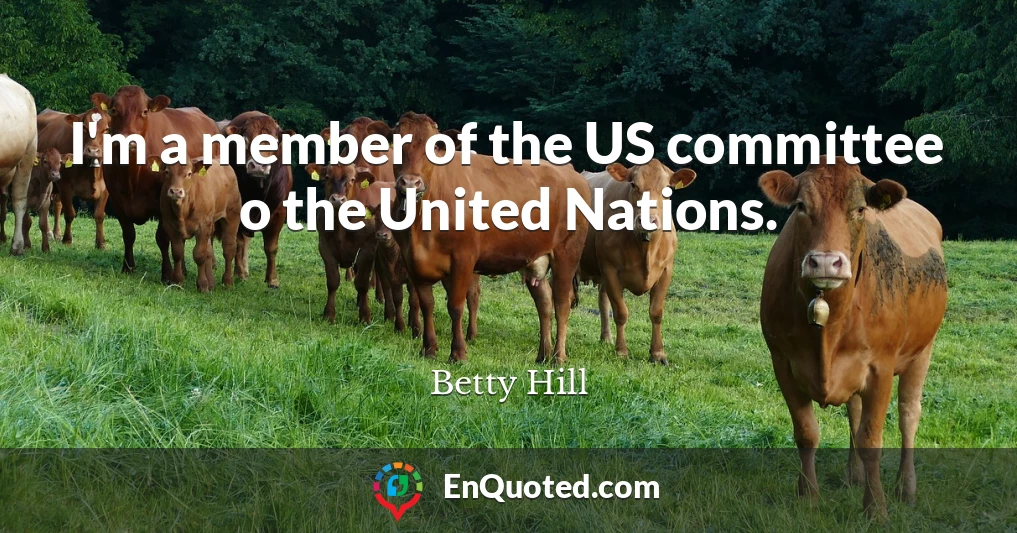 I'm a member of the US committee o the United Nations.