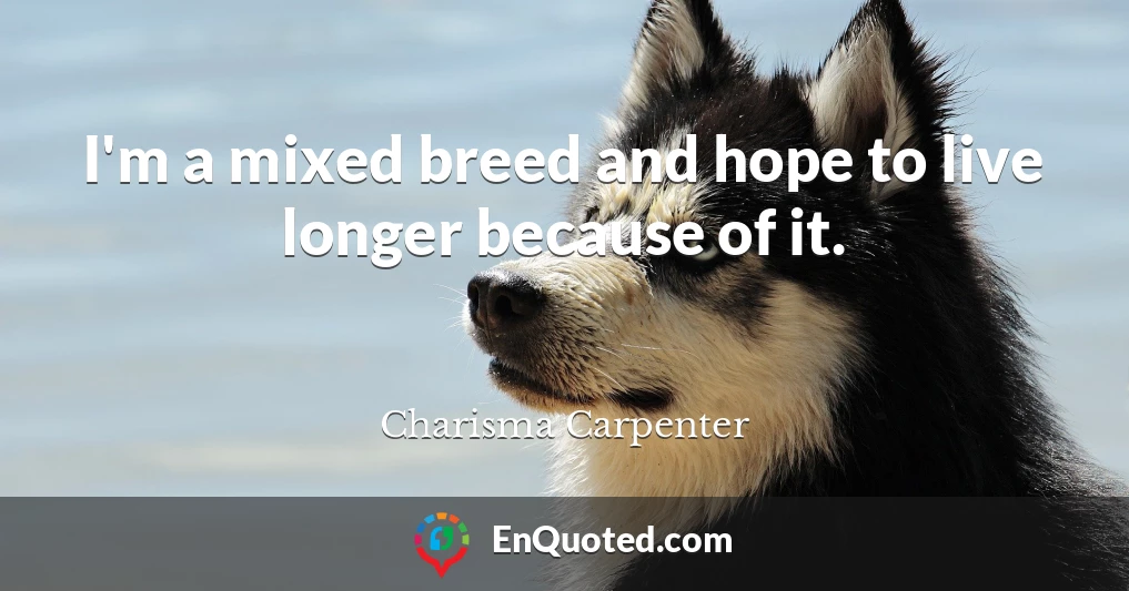 I'm a mixed breed and hope to live longer because of it.