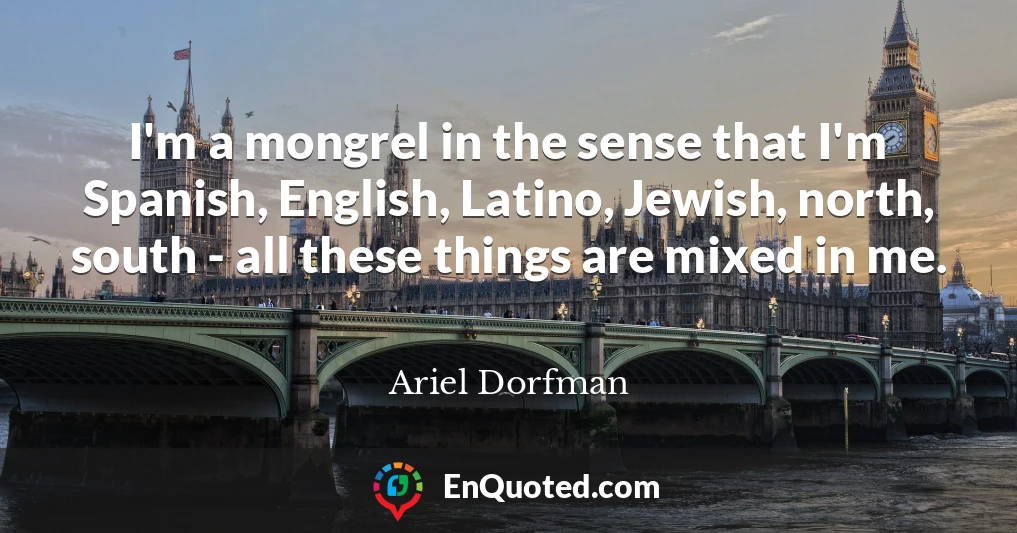I'm a mongrel in the sense that I'm Spanish, English, Latino, Jewish, north, south - all these things are mixed in me.
