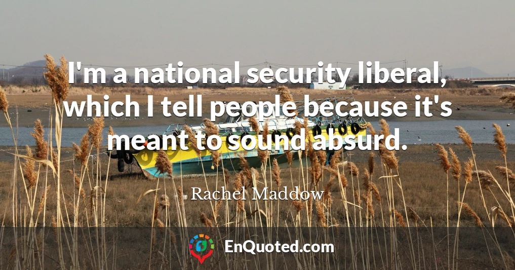 I'm a national security liberal, which I tell people because it's meant to sound absurd.