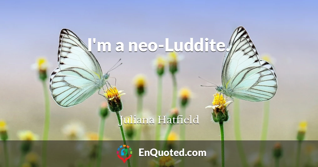 I'm a neo-Luddite.