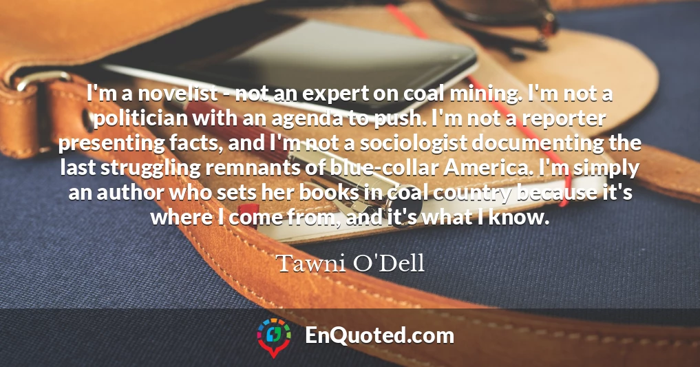 I'm a novelist - not an expert on coal mining. I'm not a politician with an agenda to push. I'm not a reporter presenting facts, and I'm not a sociologist documenting the last struggling remnants of blue-collar America. I'm simply an author who sets her books in coal country because it's where I come from, and it's what I know.