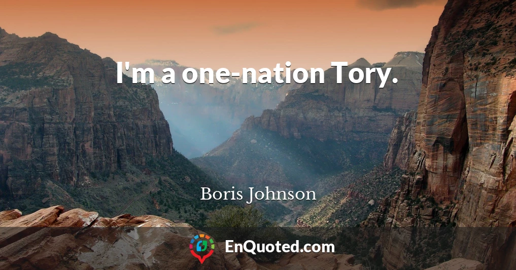 I'm a one-nation Tory.