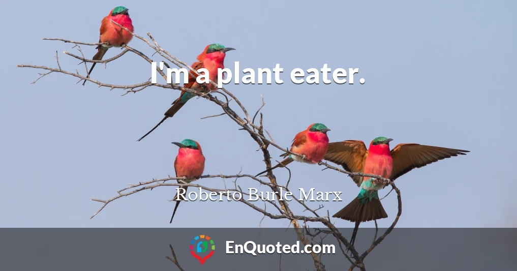 I'm a plant eater.