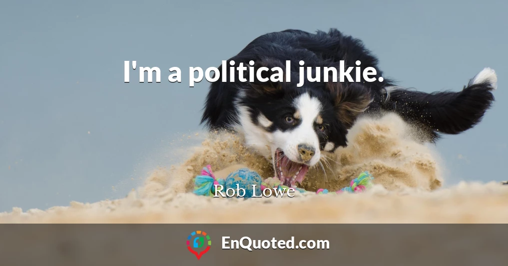 I'm a political junkie.