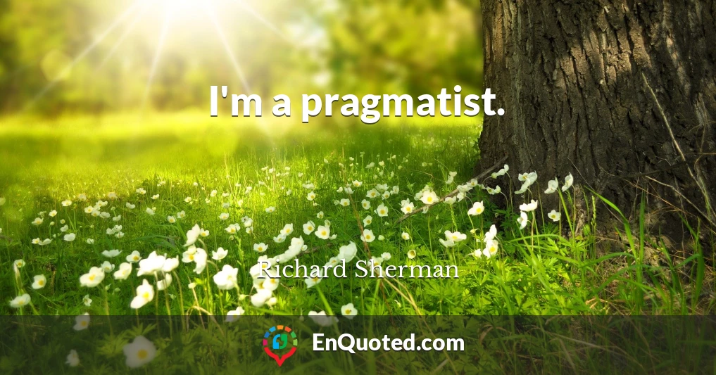 I'm a pragmatist.