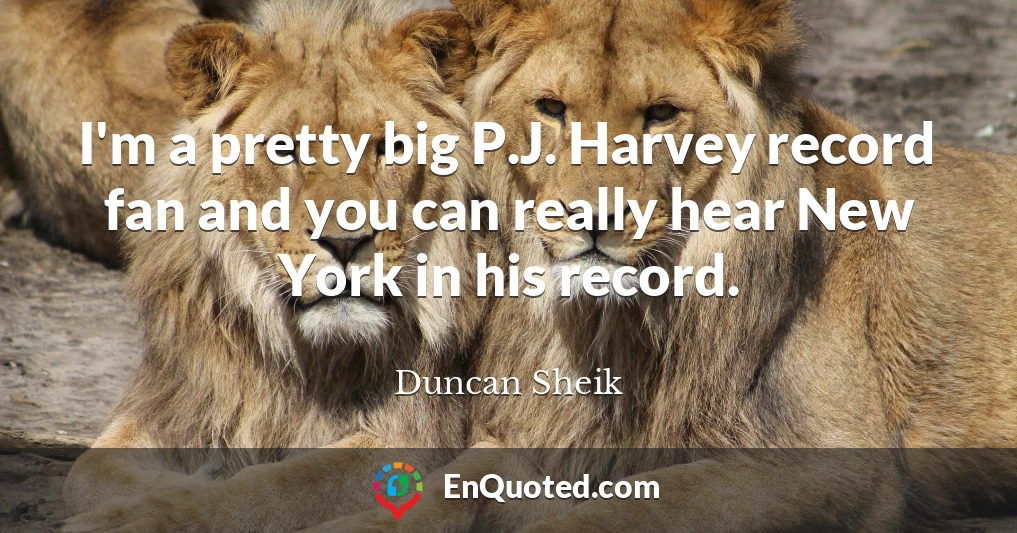 I'm a pretty big P.J. Harvey record fan and you can really hear New York in his record.