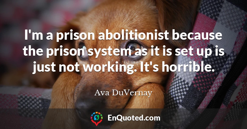 I'm a prison abolitionist because the prison system as it is set up is just not working. It's horrible.