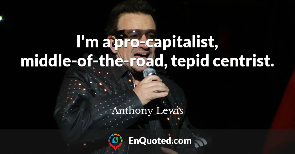 I'm a pro-capitalist, middle-of-the-road, tepid centrist.